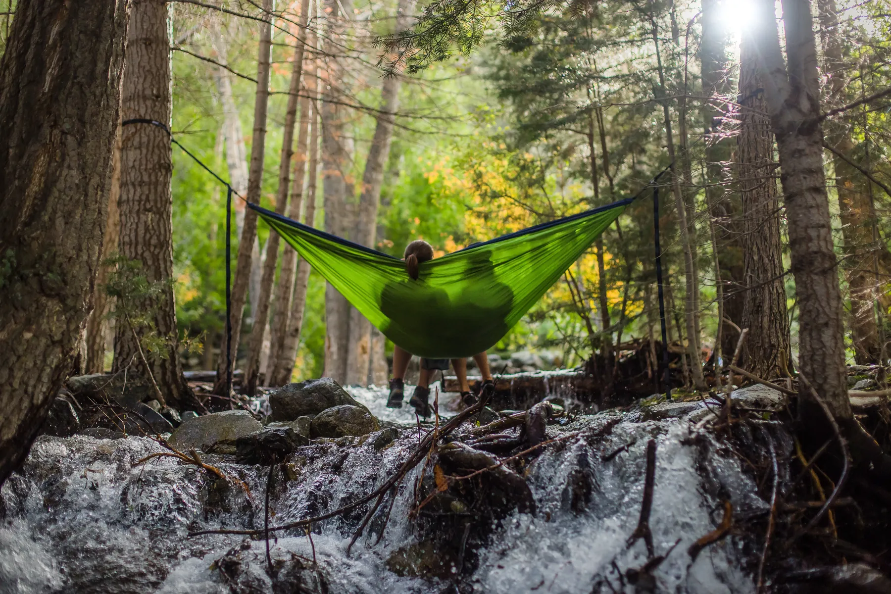 Hammock strung between trees over a forest stream